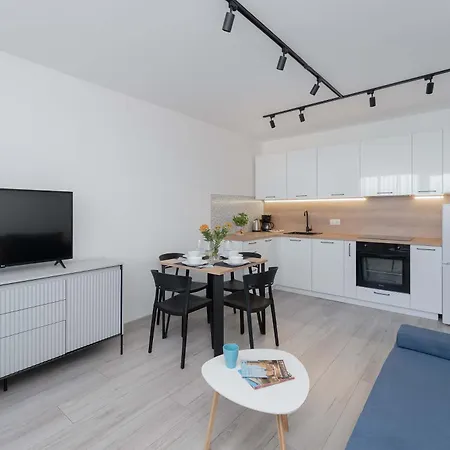 Apartment Stylish With A Balcony Near Center By Renters *