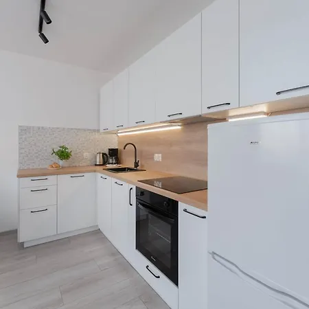 Apartment Stylish With A Balcony Near Center By Renters